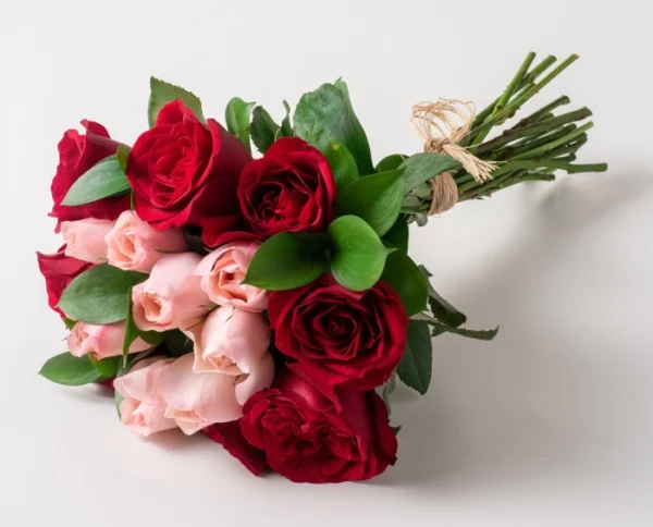 Buquê com 15 Rosas de duas Cores - Image 2