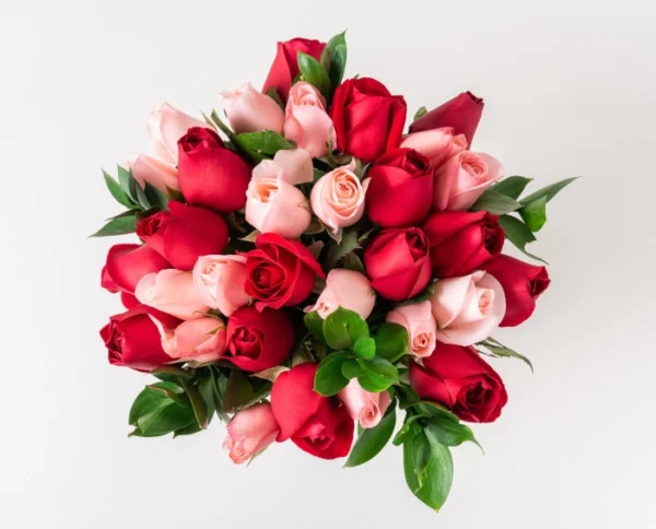 Buquê com 32 Rosas de Duas Cores - Image 3