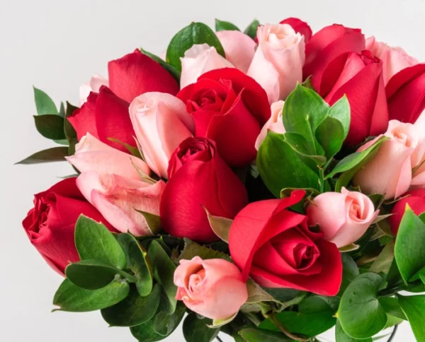 Buquê com 32 Rosas de Duas Cores - Image 4