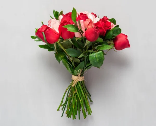 Buquê com 32 Rosas de Duas Cores - Image 2