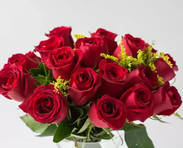 Buquê de 20 Rosas Vermelhas - Image 3