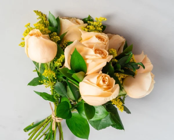 Buquê de 8 Rosas Champagne e Pelúcia - Image 2